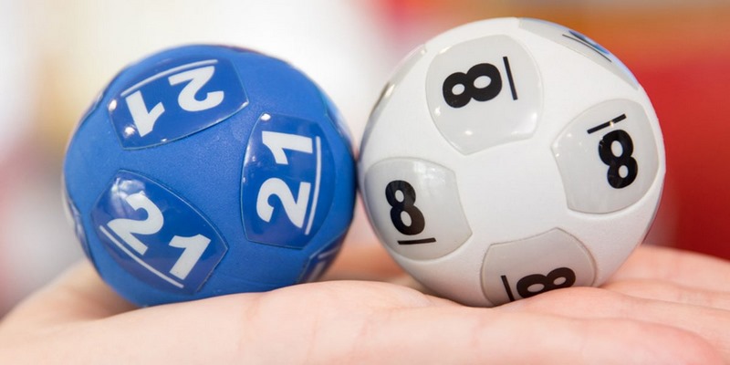 Đánh đề đít X8