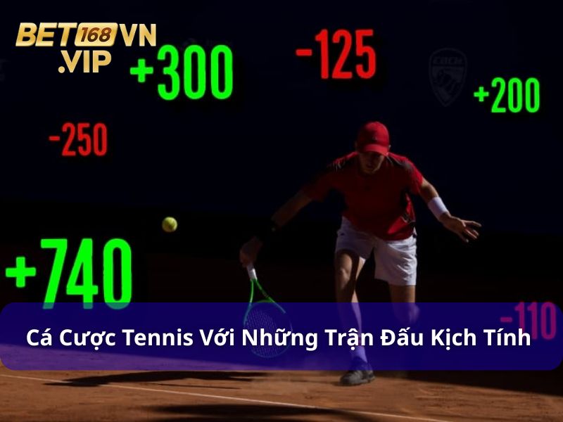 Cược Tennis mang lại những trải nghiệm giải trí mới