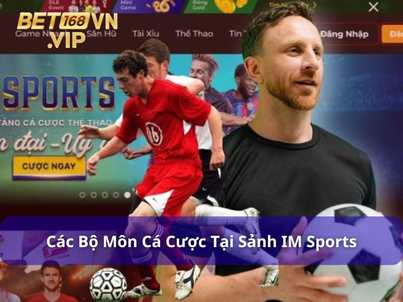 Các loại hình cá cược tại IM Sports